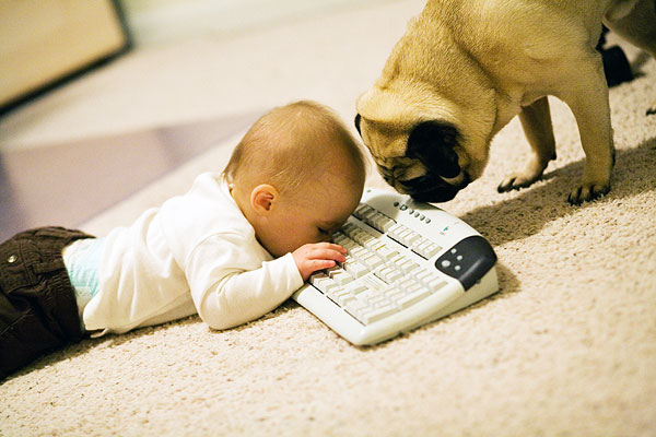 avery typing with Commodus